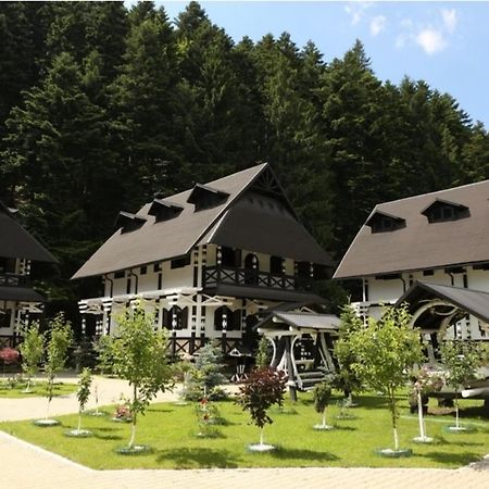 Hotel Complex Lions Bucovina Voroneț Exteriér fotografie