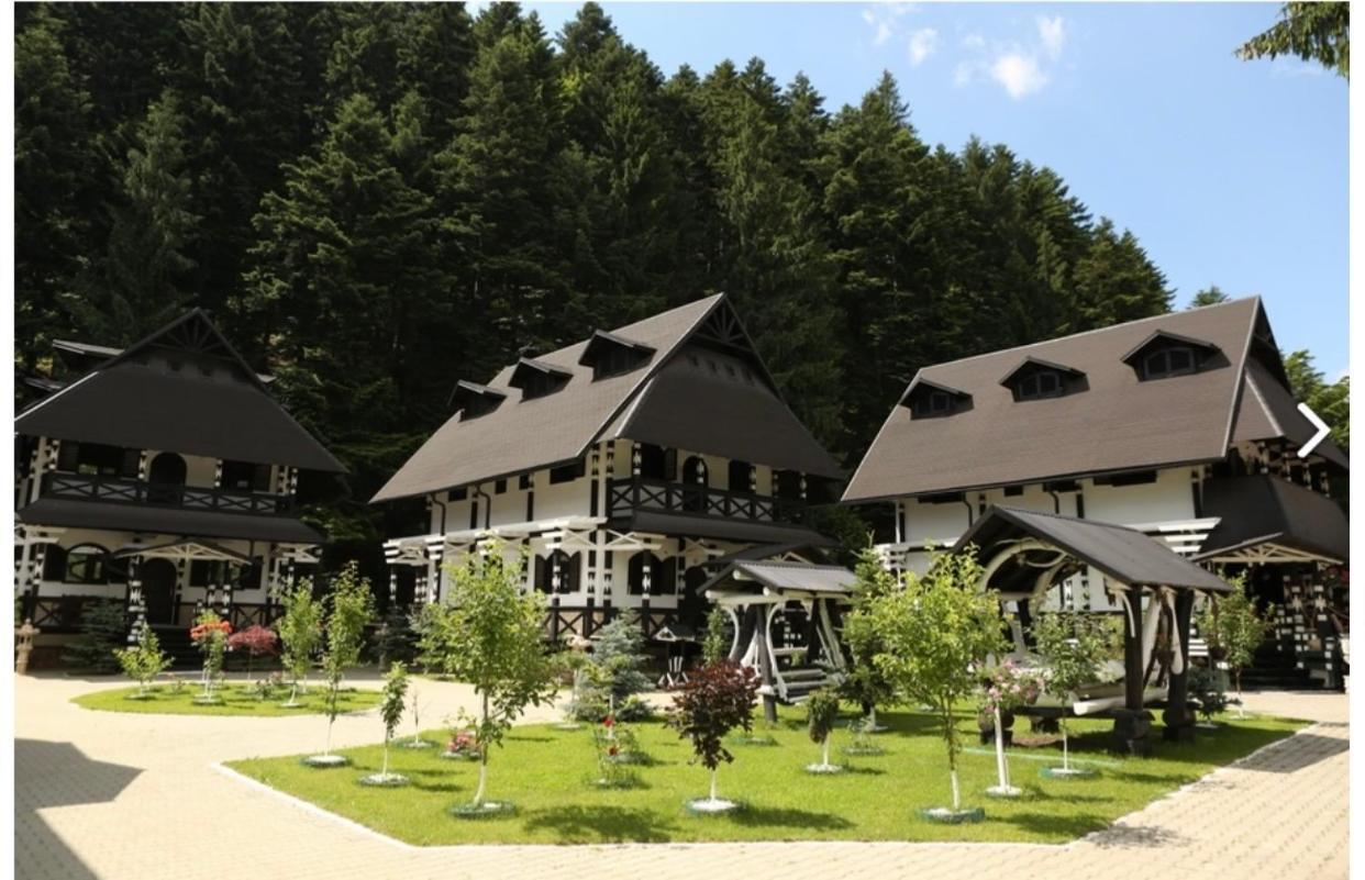 Hotel Complex Lions Bucovina Voroneț Exteriér fotografie
