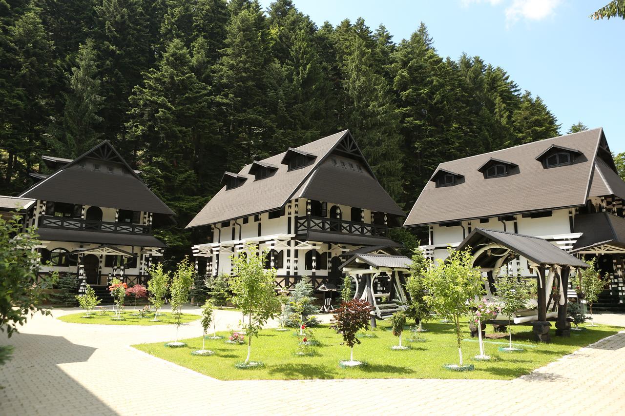 Hotel Complex Lions Bucovina Voroneț Exteriér fotografie