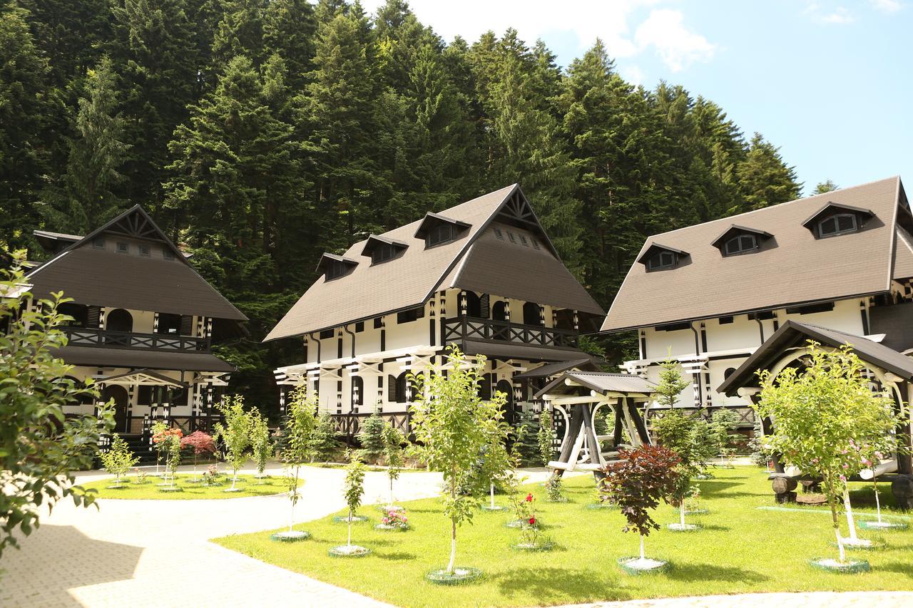 Hotel Complex Lions Bucovina Voroneț Exteriér fotografie